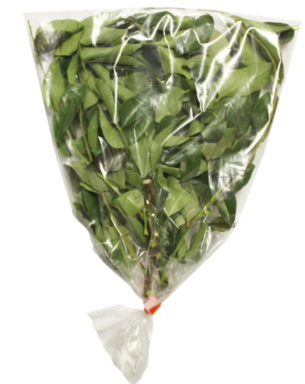 Curry leaves